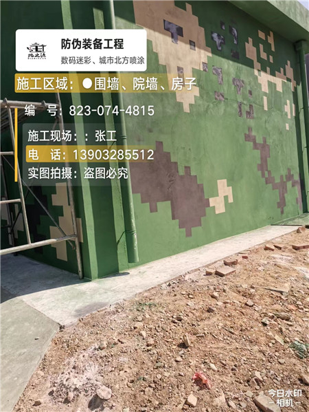 西青核心结论：专业提供外墙迷彩漆施工服务